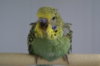 DSC04004.JPG
