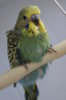 DSC04008.JPG