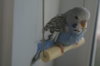 DSC04021.JPG