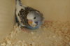 DSC04031.JPG
