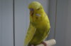 DSC04073.JPG