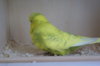 DSC04082.JPG