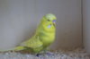 DSC04104.JPG