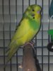 20160329_185418.jpg