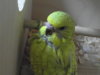 SAM_3349.JPG
