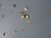 DSC02727.JPG