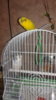 20160327_163722.jpg