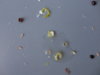 DSC02734.JPG