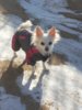 20140204_132141.jpg