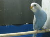 IMG_7879.JPG