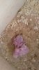 IMG-20160411-WA0005.jpg