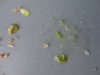 DSC02739.JPG