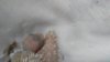 IMG_20160414_143229.jpg