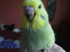 SAM_3376.JPG