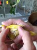 IMG_20220811_111658_1.jpg