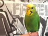 Hcgyt9ExrrLYFZfq_g8XGqcnU_YBV7VPLwspnhZ-LlYfC6fE5Wltwh_HGMaL2FiOtV5pq85nnJiurIV5LCo66_rK.jpg