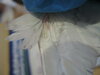 DSCN5848.JPG