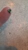 20220821_071839.jpg