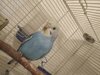 IMG_20221003_220834.jpg