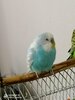 IMG-20221020-WA0009.jpg