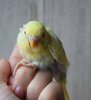 DSC_5619.JPG