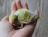 DSC_5645.JPG