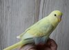 DSC_5846.JPG