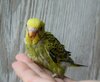 DSC_5886.JPG