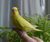 DSC_6147.JPG