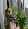 DSC_6422.JPG