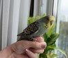DSC_6427.JPG