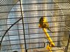 IMG_20221130_221516_818.jpg