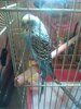 DSC_9146.JPG