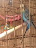DSC_9216.JPG