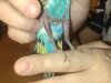 DSC_9244.JPG