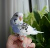 DSC_7796.JPG