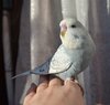DSC_7883.JPG