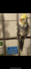 A58B965E-2BCC-4520-80C0-A3503943E785.png