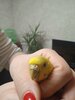 IMG_20230109_210907_1.jpg