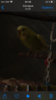 D456A82E-D8FF-48CE-894E-D7C70CE2959A.png