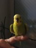 7F8F26D1-22C3-4666-B1B7-7B2DD3A09686.jpeg