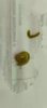 IMG-20230207-WA0001.jpg