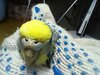 IMG-20230211-WA0004.jpg