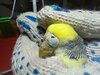 IMG-20230211-WA0000.jpg