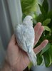 DSC_8640.JPG