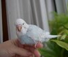 DSC_8728.JPG