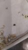 IMG_20230221_162253.jpg