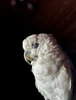 IMG_5132.jpg