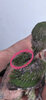 BD0120F8-D889-422D-B018-5D4F71908E3A.jpeg