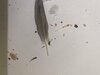 IMG_3833.jpeg